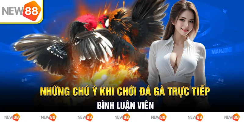 Những chú ý khi chới đá gà trực tiếp bình luận viên