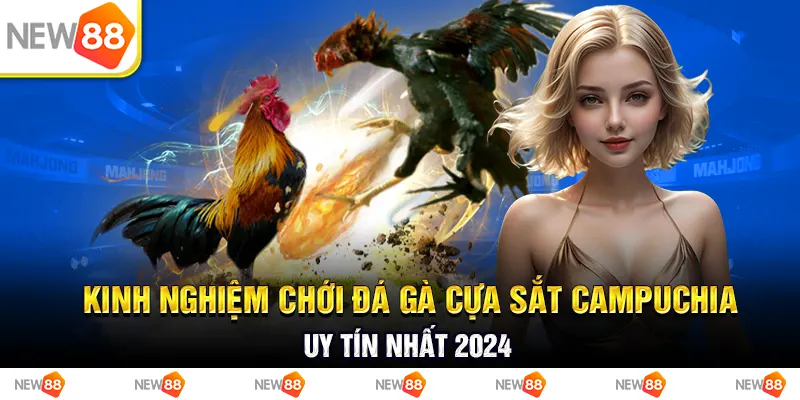 Kinh nghiệm chới đá gà cựa sắt campuchia uy tín nhất 2024