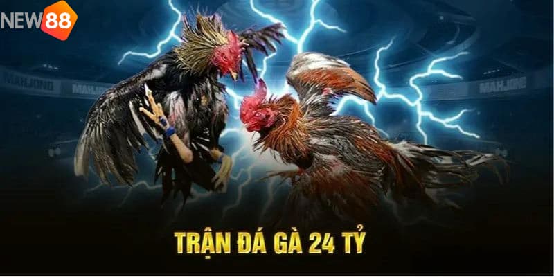 trận đá gà 24 tỷ Trận đá gà 24 tỷ: Khi sự cạnh tranh trở nên siêu khủng