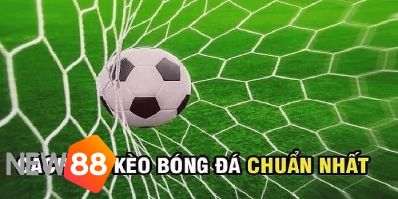 xem kèo bóng đá xem kèo bóng đá