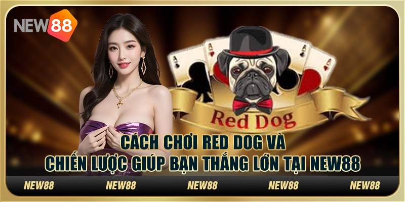 Cách chơi Red Dog và chiến lược giúp bạn thắng lớn tại New88