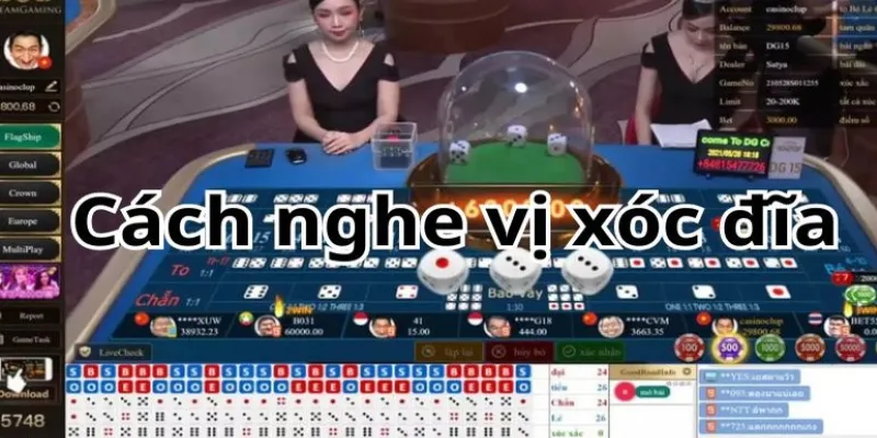 Một số phương pháp nghe vị xóc đĩa hiệu quả