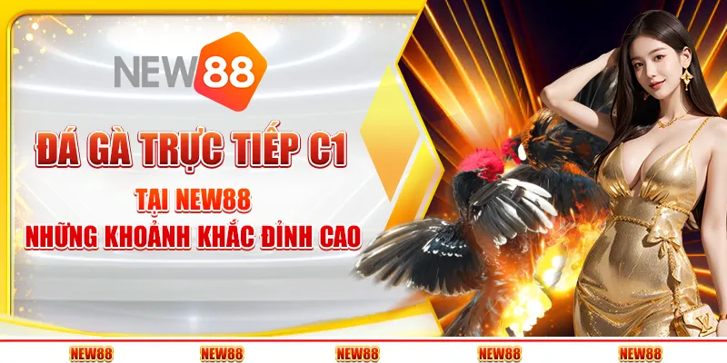 Đá gà trực tiếp C1 tại New88 - Những khoảnh khắc đỉnh cao