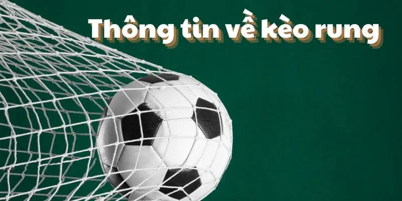 Bí quyết đặt cược kèo rung thành công tại New88