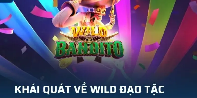 Hiểu rõ quy tắc chơi Wild Đạo Tặc
