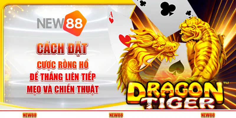 Cách đặt cược Rồng Hổ để thắng liên tiếp – Mẹo và chiến thuật
