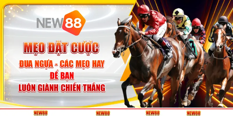 Mẹo đặt cược đua ngựa - Các mẹo hay để bạn luôn giành chiến thắng