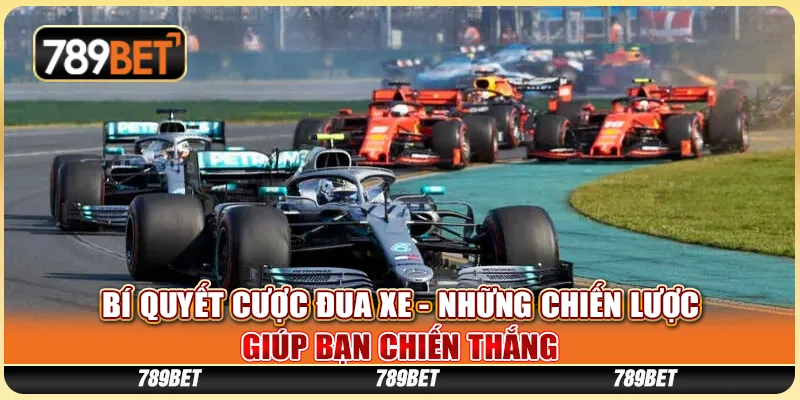 Bí Quyết Cược Đua Xe