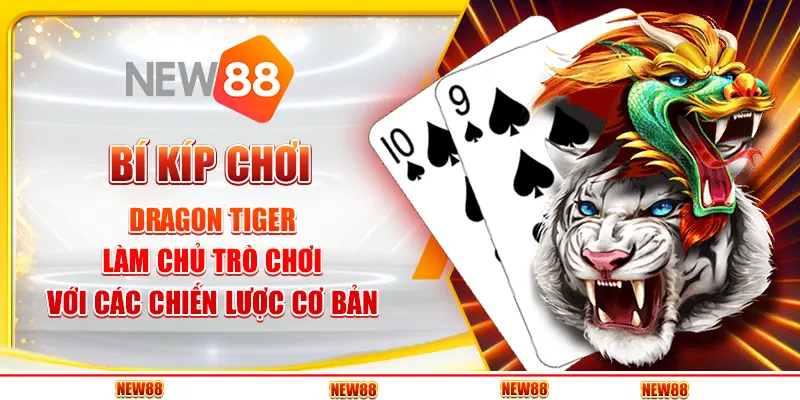 Bí kíp chơi Dragon Tiger - Làm chủ trò chơi với các chiến lược cơ bản