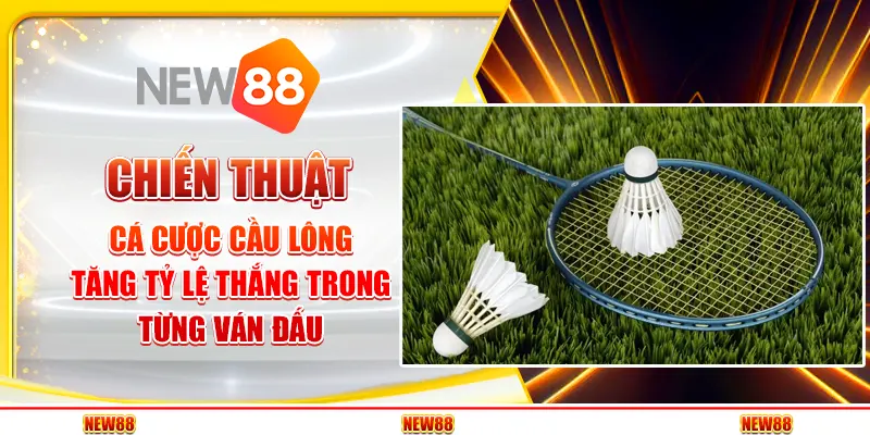 Chiến thuật cá cược cầu lông – Tăng tỷ lệ thắng trong từng ván đấu