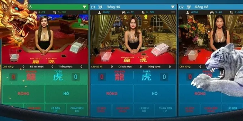 Hướng dẫn cách chơi cơ bản trong Dragon Tiger