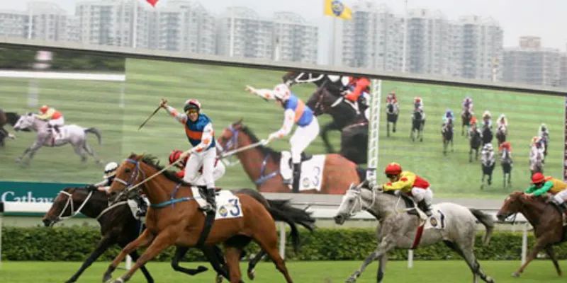 Top mẹo đặt cược đua ngựa cực hay tăng tỷ lệ thắng lớn