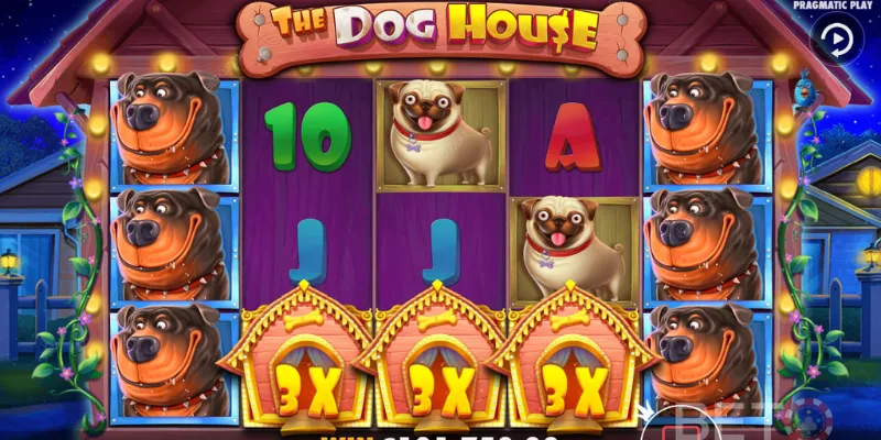 Chia sẻ chiến lược thắng khi chơi The Dog House tại New88