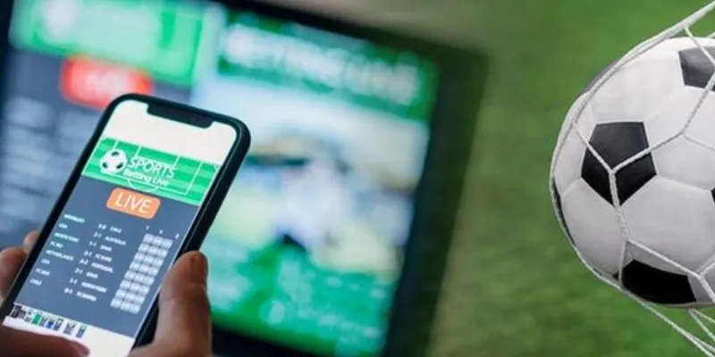 Cách tham gia forum cá độ bóng đá hiệu quả