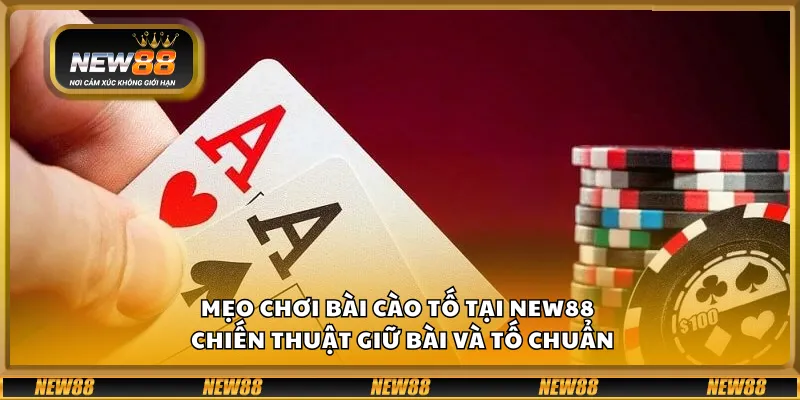 Mẹo chơi bài Cào Tố tại New88 – Chiến thuật giữ bài và tố chuẩn